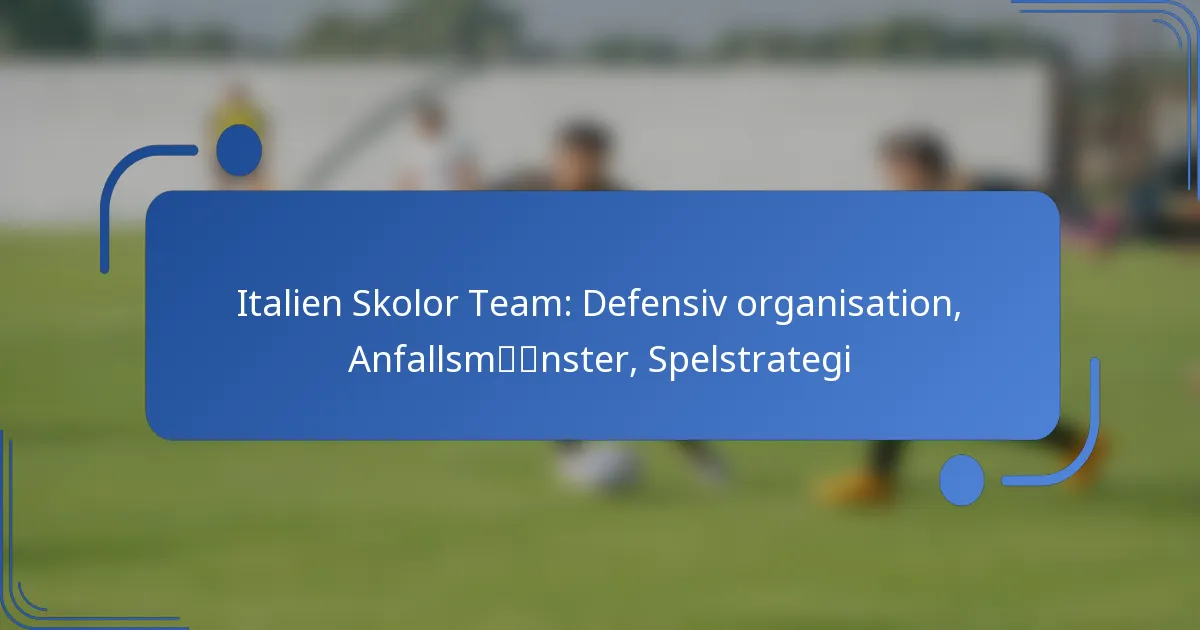 Italien Skolor Team: Defensiv organisation, Anfallsmönster, Spelstrategi