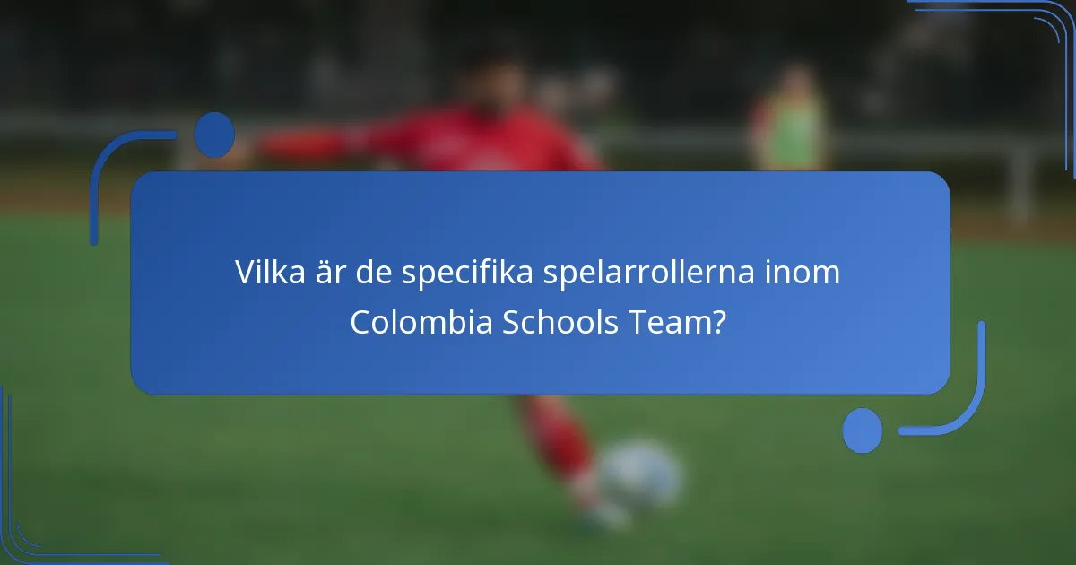 Vilka är de specifika spelarrollerna inom Colombia Schools Team?