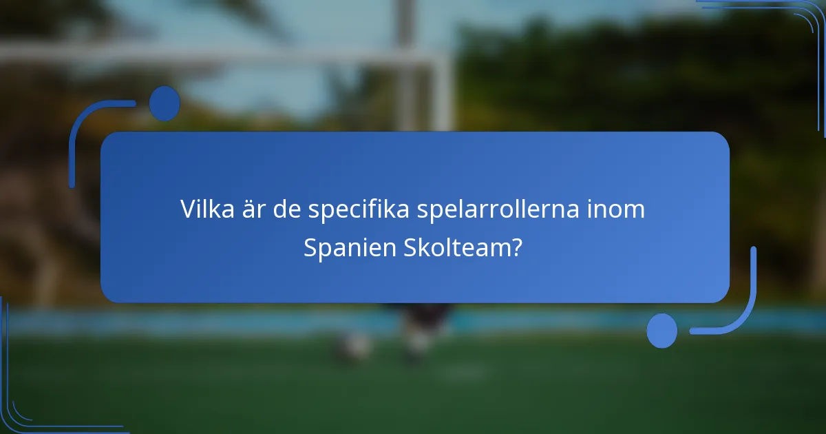 Vilka är de specifika spelarrollerna inom Spanien Skolteam?