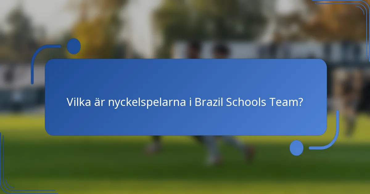 Vilka är nyckelspelarna i Brazil Schools Team?