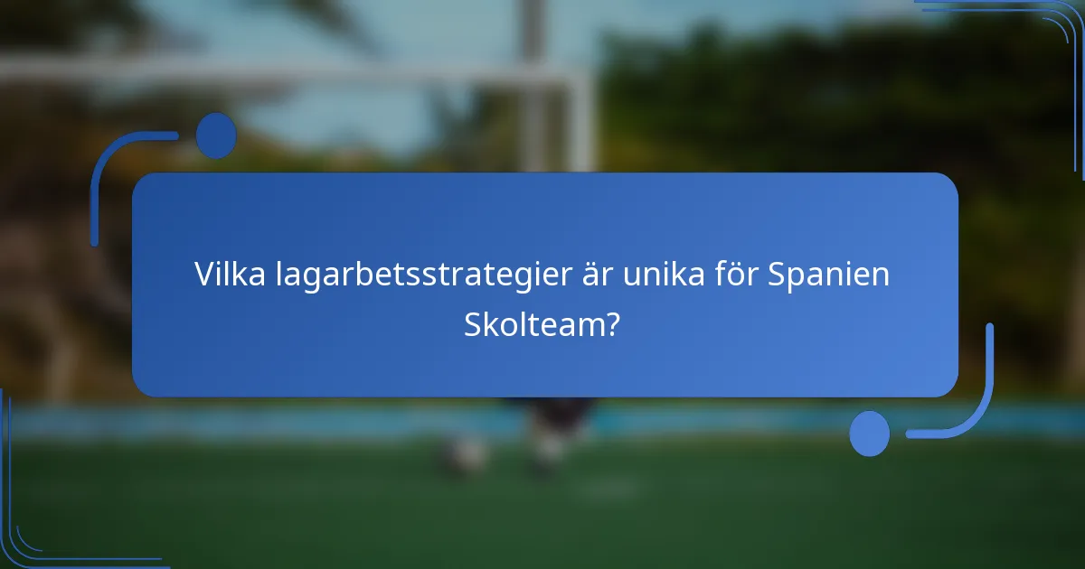 Vilka lagarbetsstrategier är unika för Spanien Skolteam?